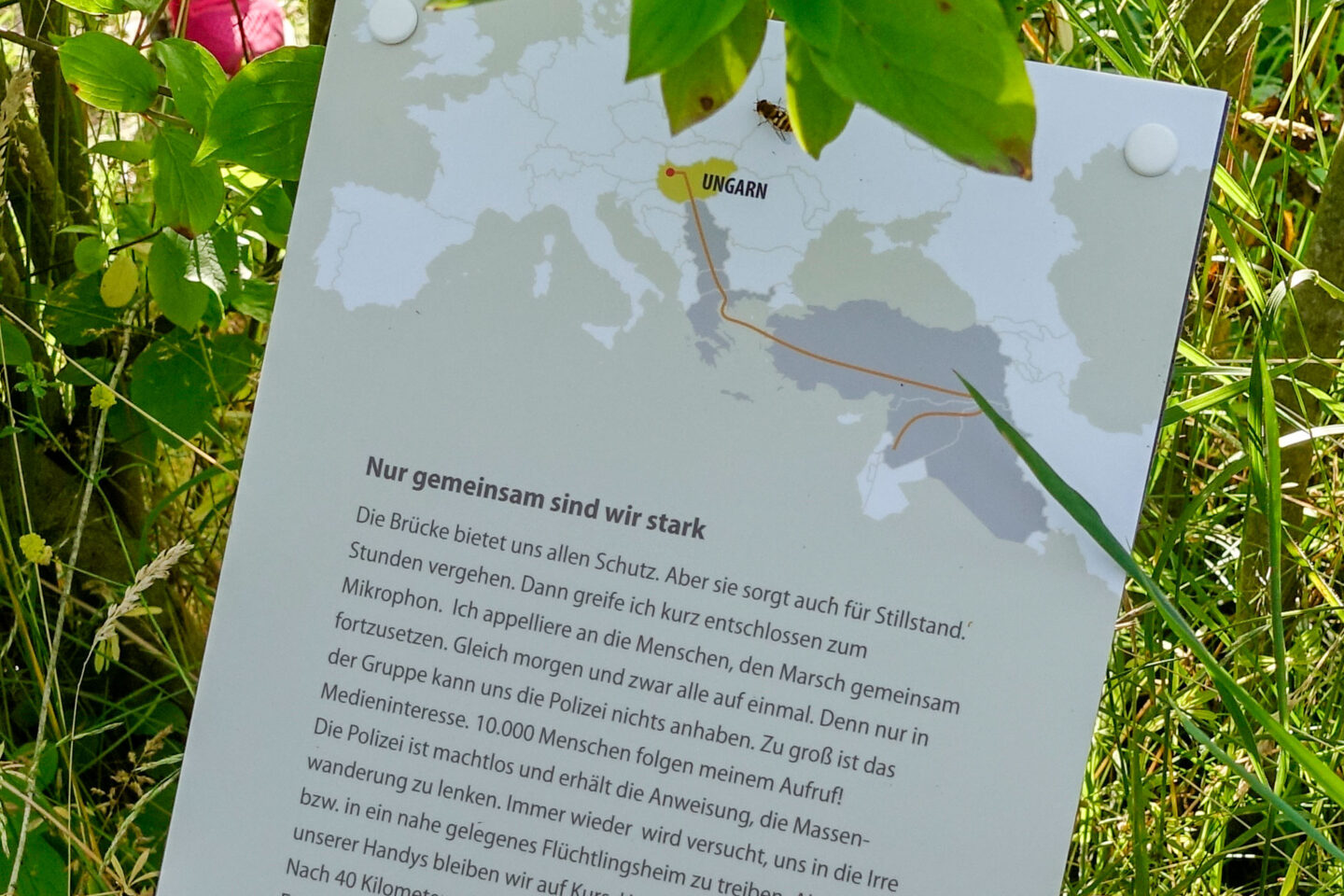 Flüchtlingsroute im Weiden-Labyrinth