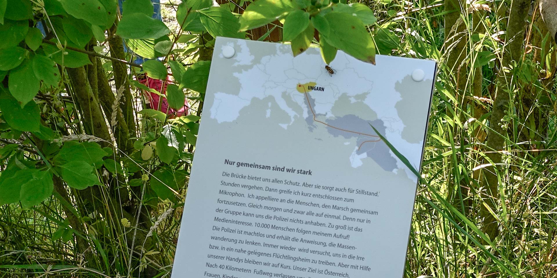 Flüchtlingsroute im Weiden-Labyrinth